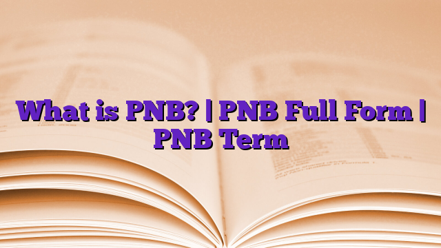 What is PNB? | PNB Full Form | PNB Term